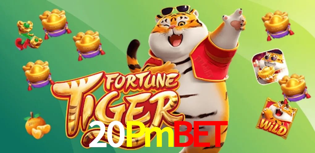 API Integration 20Pmbet
